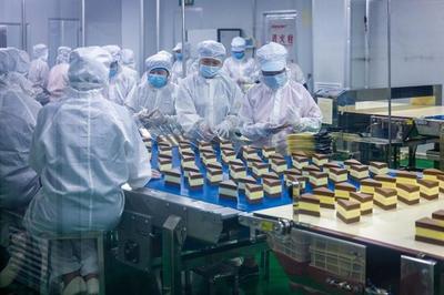 “世界廚房”福建龍海 食品生產(chǎn)加工忙 賦能全球餐桌