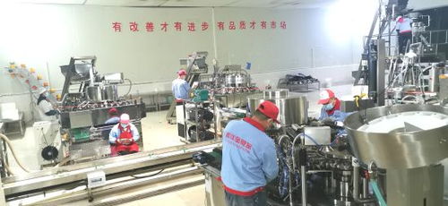 銅梁 龍頭企業引領，做大做強休閑食品產業
